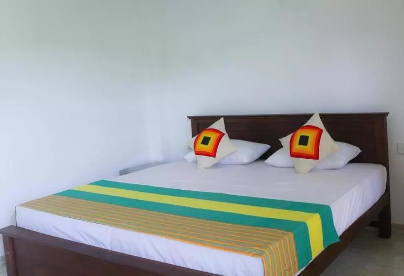 Paddy Field View Resort