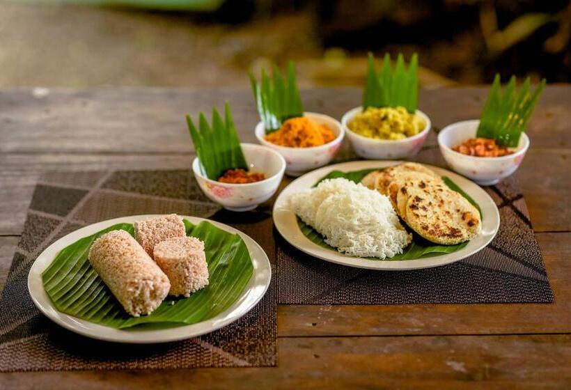 Paddy Field View Resort