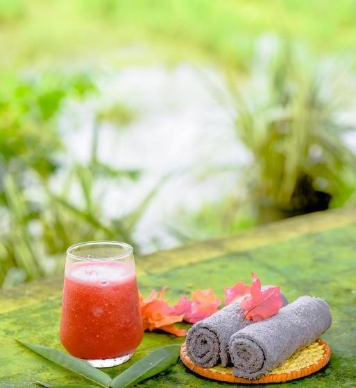 Paddy Field View Resort