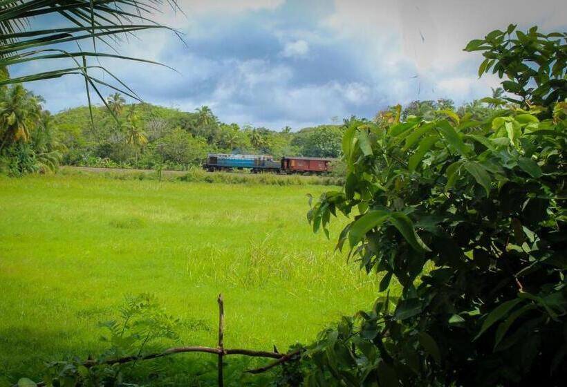 Paddy Field View Resort