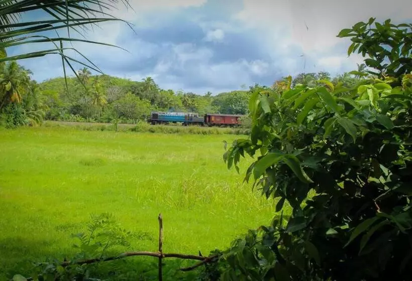 Paddy Field View Resort
