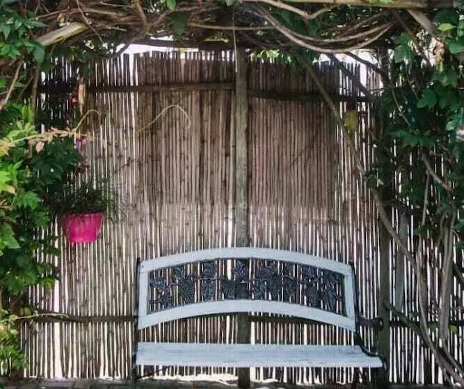 Parrot Peek B&b