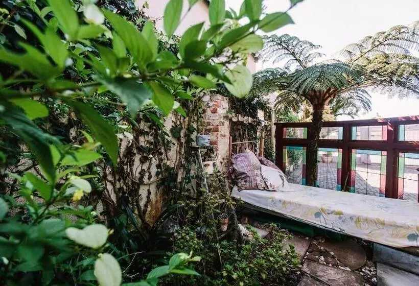 Parrot Peek B&b