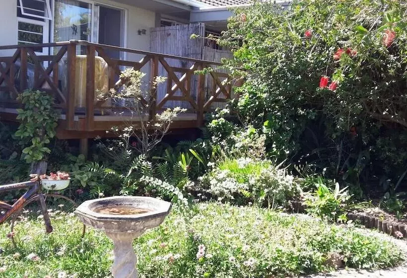 Parrot Peek B&b