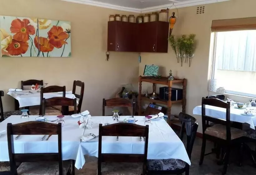 Parrot Peek B&b