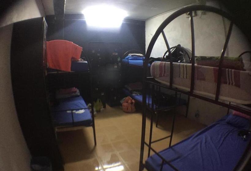 Sweet Monkey Backpacker Hostel