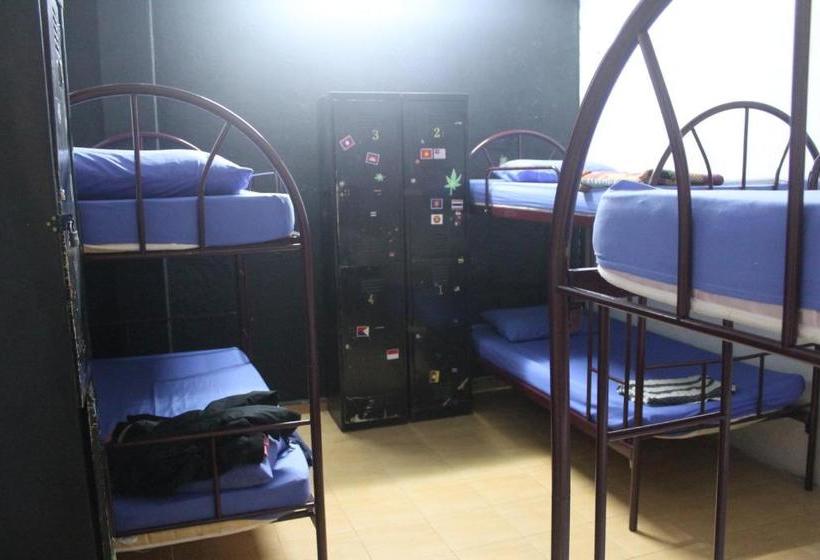 Sweet Monkey Backpacker Hostel