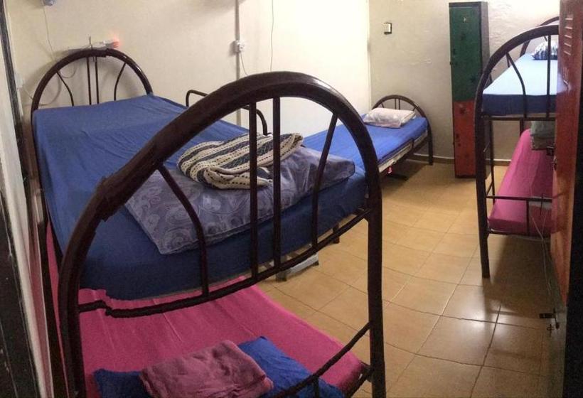 Sweet Monkey Backpacker Hostel