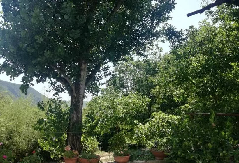 Hotelli Agriturismo Sant Erasmo