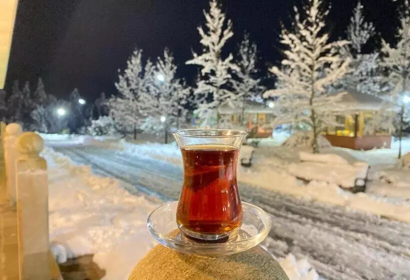 هتل Hirkan Park