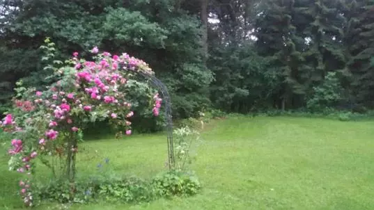 Majatalo Haus Am Walde