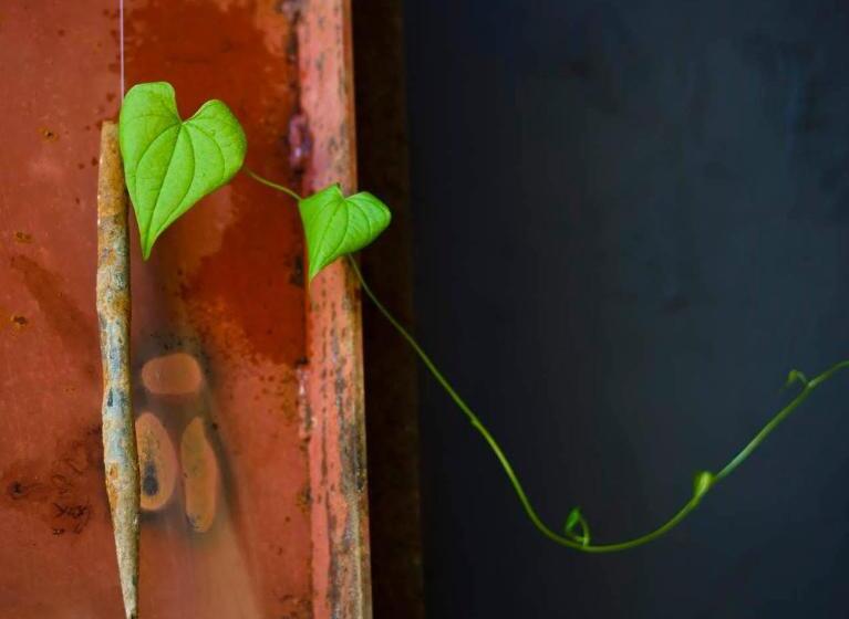 日式旅馆 Sengokuhara Hisanoha