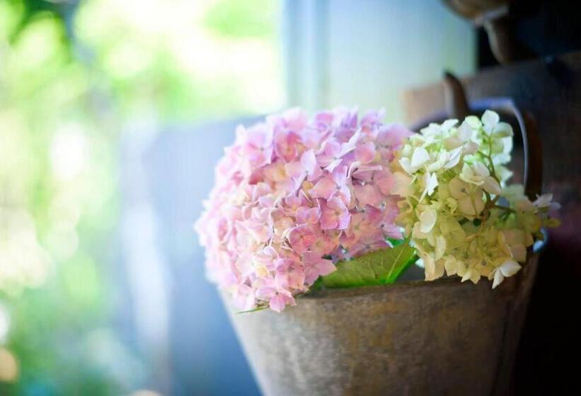 日式旅馆 Sengokuhara Hisanoha