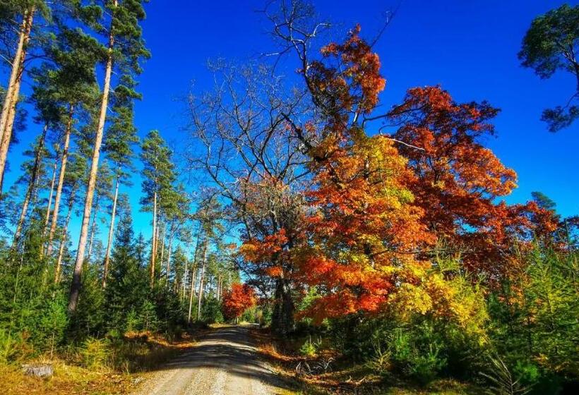 Familien Hotel Am Tränkbachtal Frauenwald