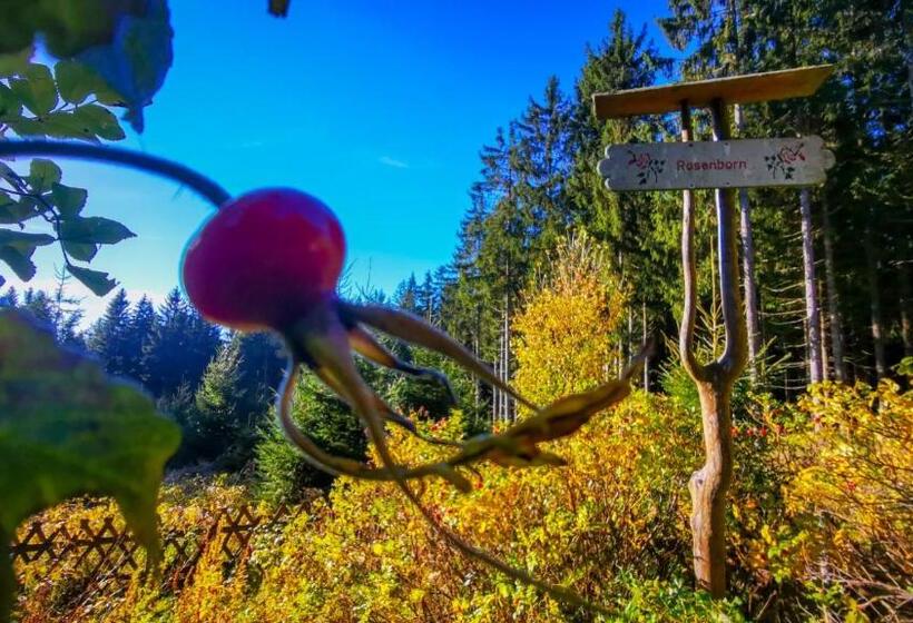 Familien Hotel Am Tränkbachtal Frauenwald