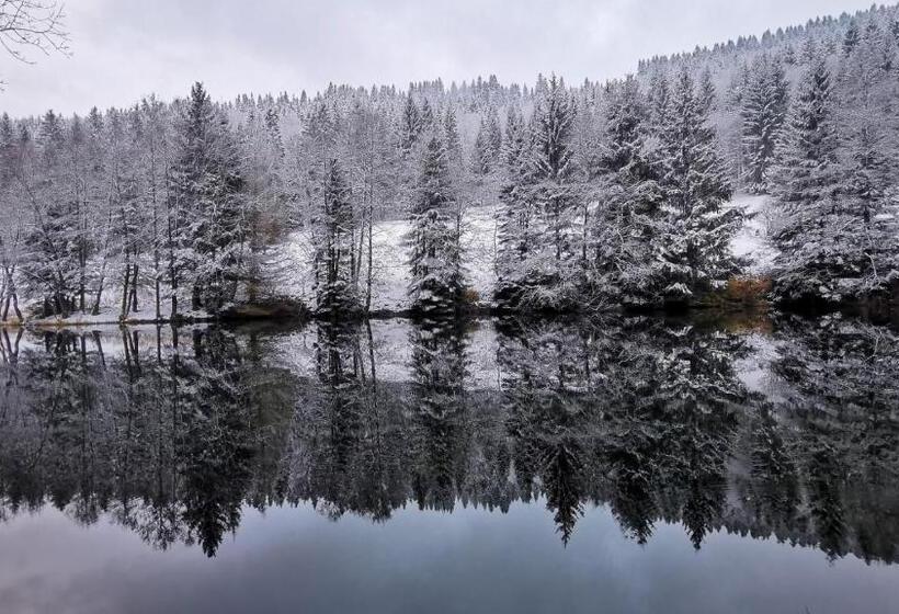Familien Hotel Am Tränkbachtal Frauenwald