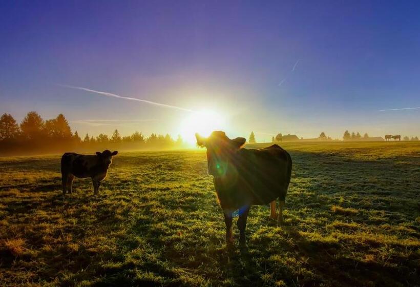 Familien Hotel Am Tränkbachtal Frauenwald