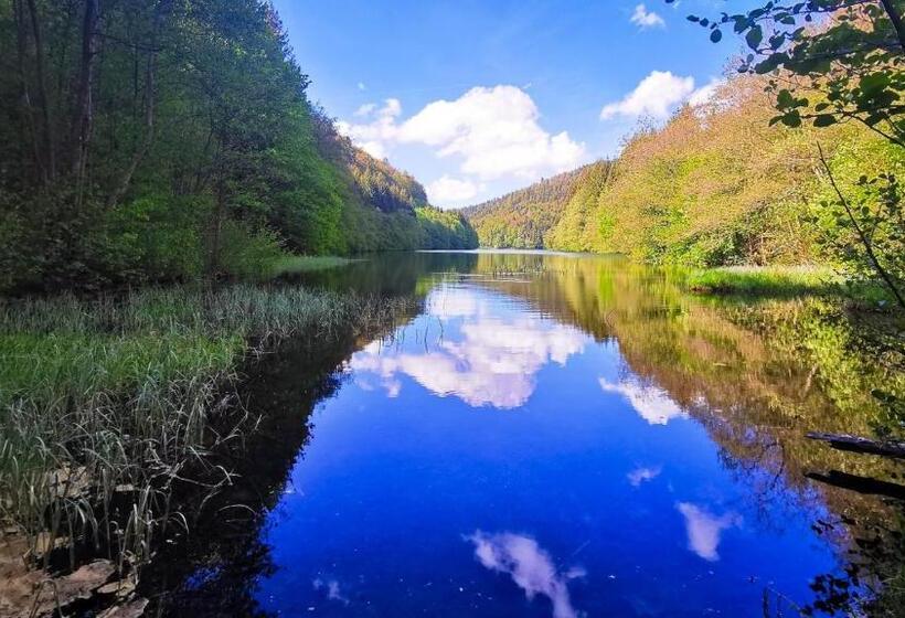Familien Hotel Am Tränkbachtal Frauenwald