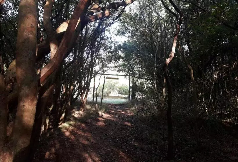 ホテル Paso Severino Centro De Recreación