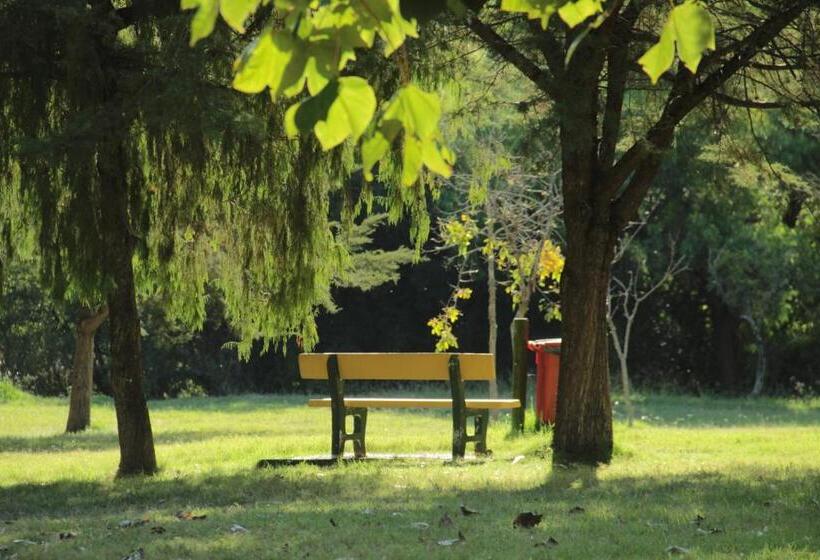 Hotel Paso Severino Centro De Recreación