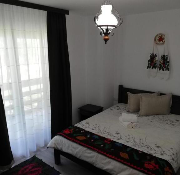 هتل Pensiunea Pietrosul Rodnei