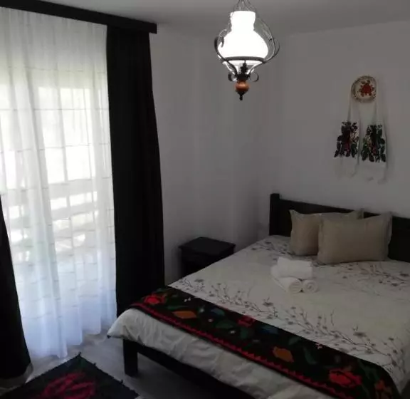 هتل Pensiunea Pietrosul Rodnei