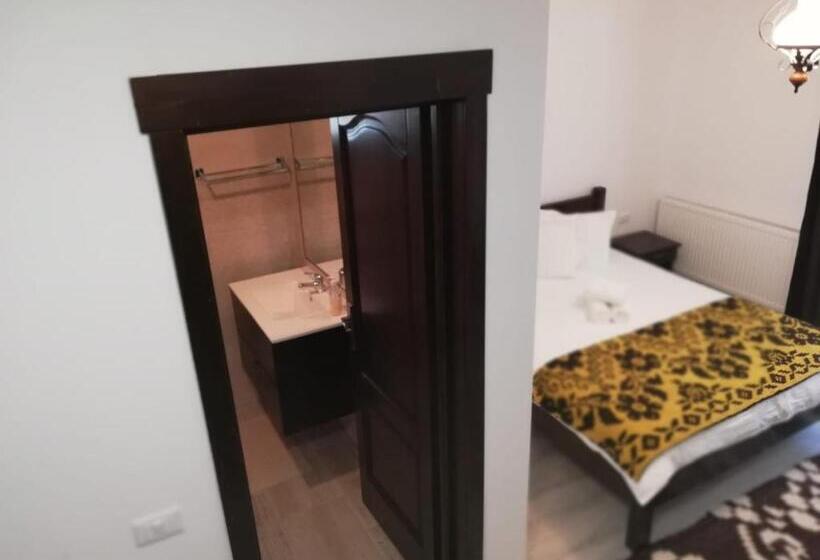 هتل Pensiunea Pietrosul Rodnei