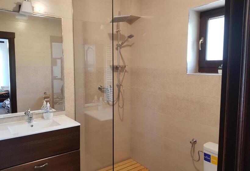 هتل Pensiunea Pietrosul Rodnei