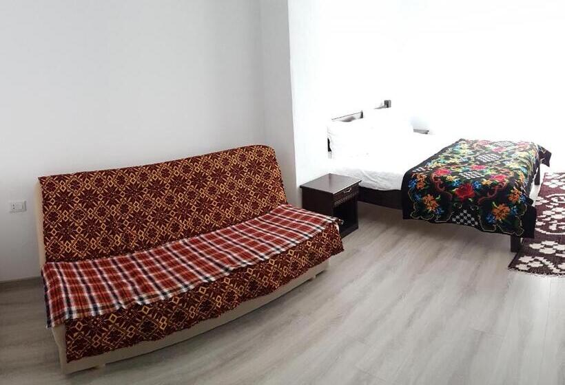 هتل Pensiunea Pietrosul Rodnei