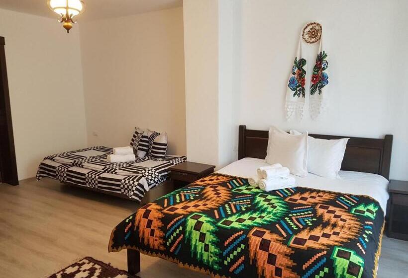 هتل Pensiunea Pietrosul Rodnei