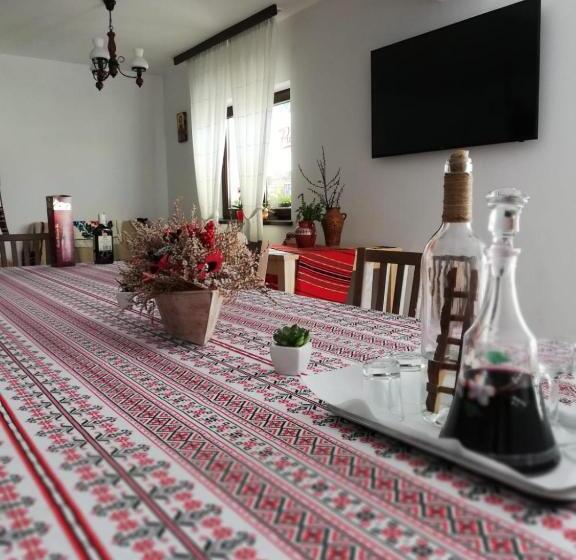 هتل Pensiunea Pietrosul Rodnei