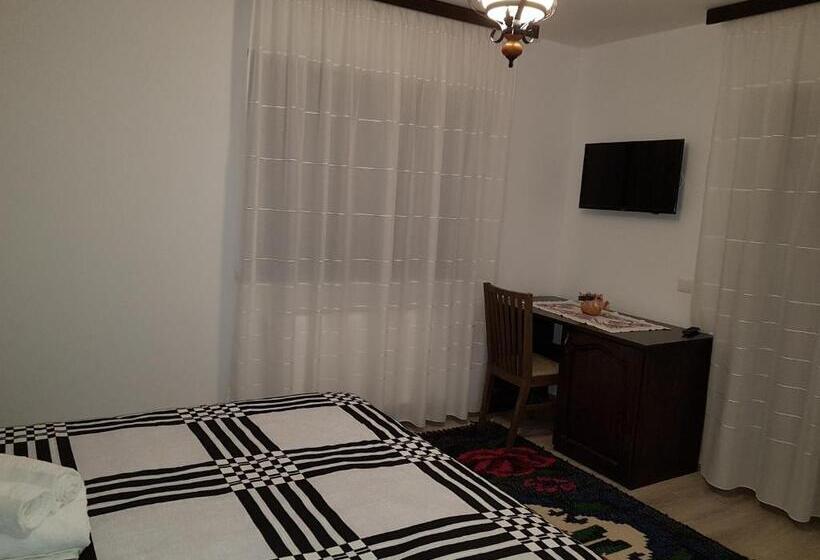 هتل Pensiunea Pietrosul Rodnei