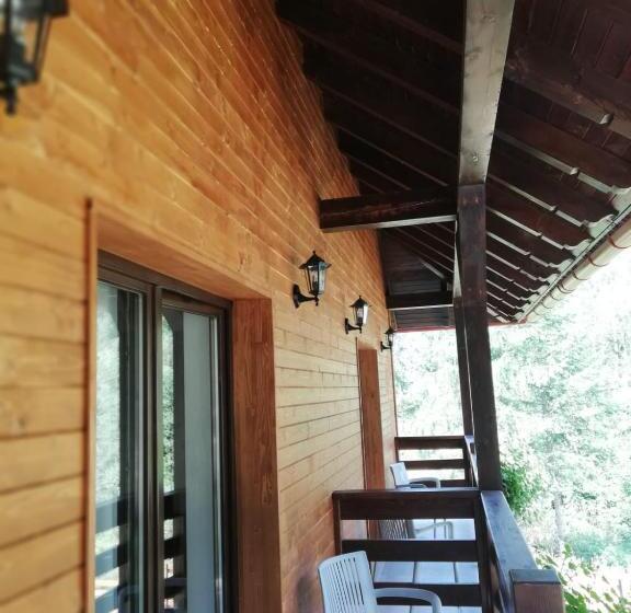 هتل Pensiunea Pietrosul Rodnei