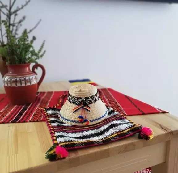 هتل Pensiunea Pietrosul Rodnei