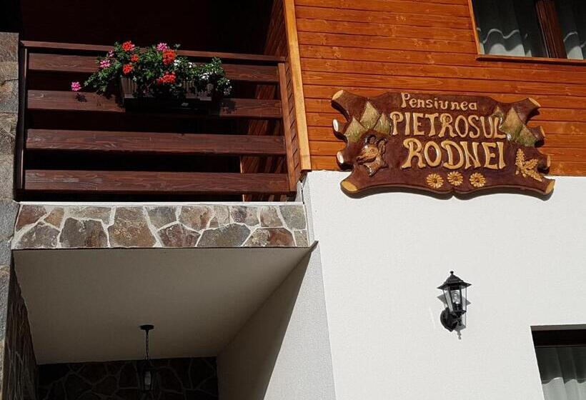 هتل Pensiunea Pietrosul Rodnei