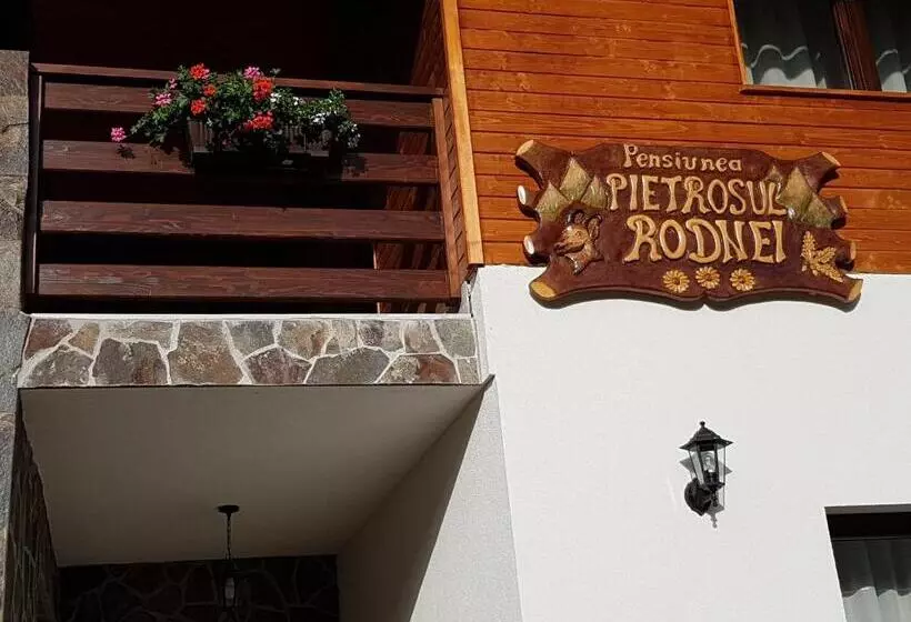 هتل Pensiunea Pietrosul Rodnei