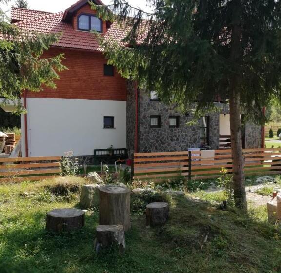 هتل Pensiunea Pietrosul Rodnei