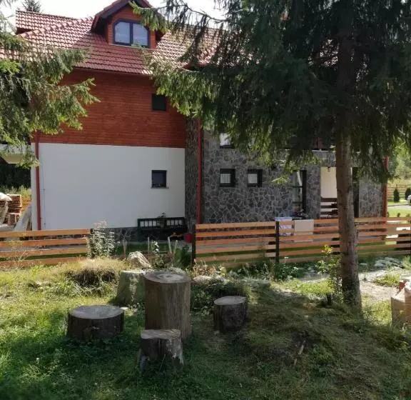 هتل Pensiunea Pietrosul Rodnei