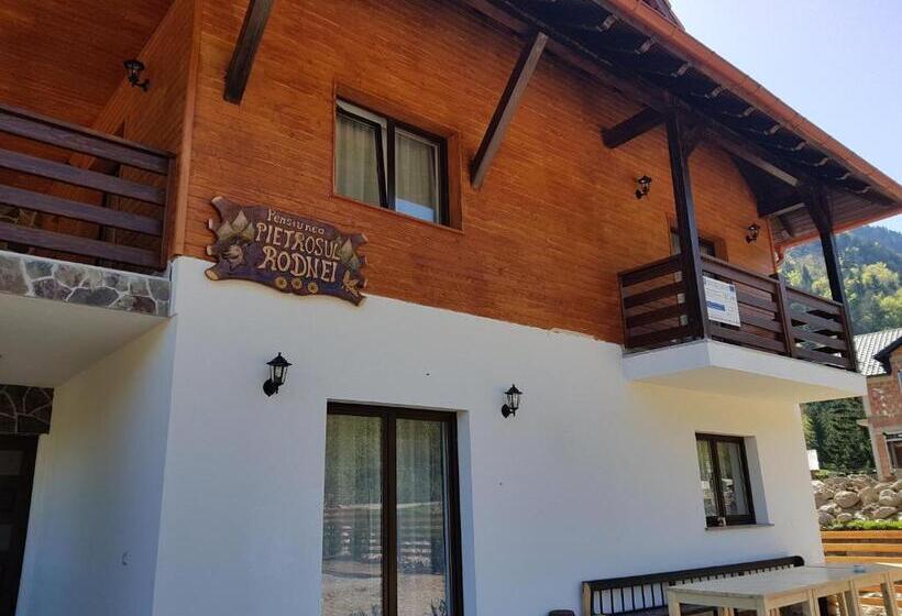هتل Pensiunea Pietrosul Rodnei