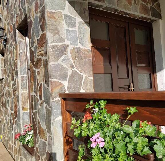 هتل Pensiunea Pietrosul Rodnei