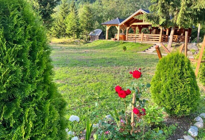 هتل Pensiunea Pietrosul Rodnei