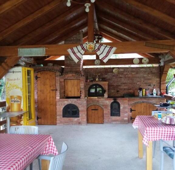 هتل Pensiunea Pietrosul Rodnei