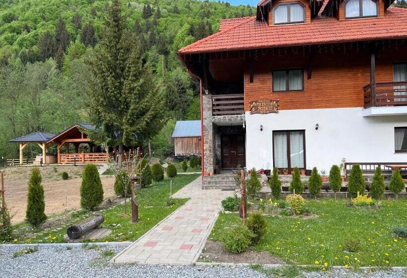 هتل Pensiunea Pietrosul Rodnei
