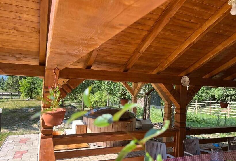 هتل Pensiunea Pietrosul Rodnei