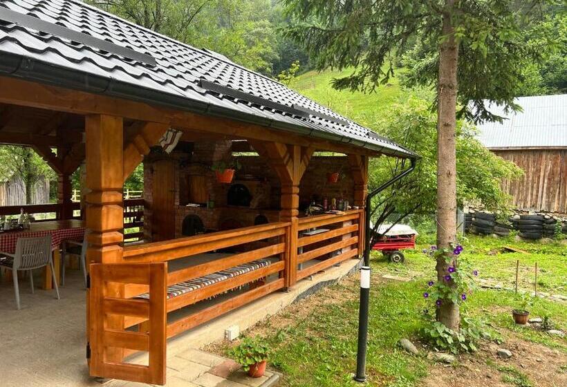 هتل Pensiunea Pietrosul Rodnei