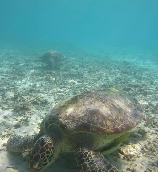 ホテル Tokashiku Marine Villege