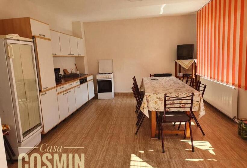 펜션 Casa Cosmin Cincu