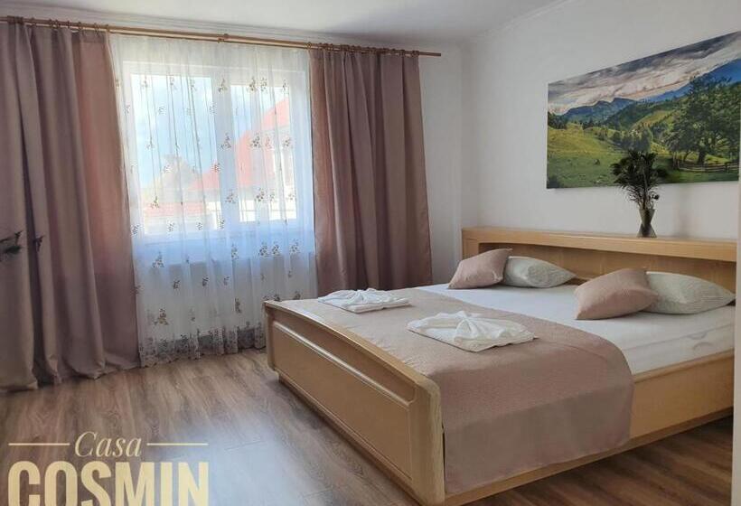 펜션 Casa Cosmin Cincu