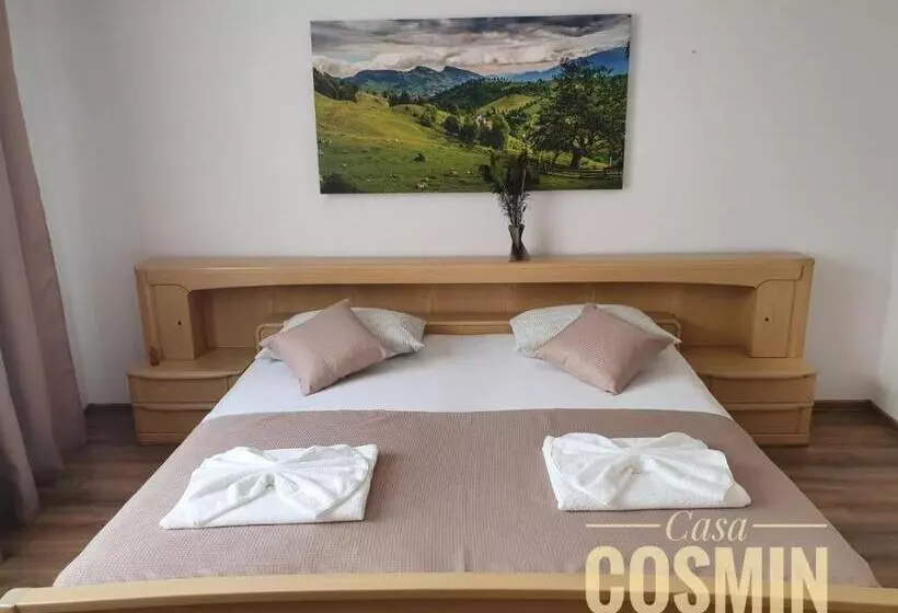 ペンション Casa Cosmin Cincu