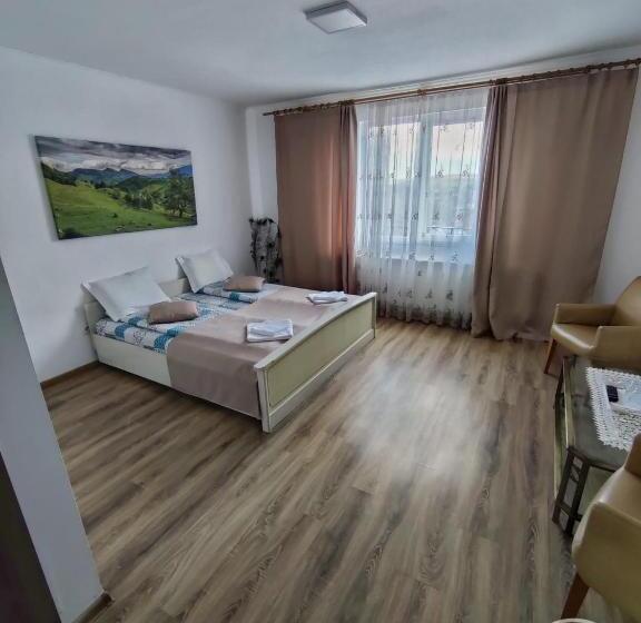 펜션 Casa Cosmin Cincu